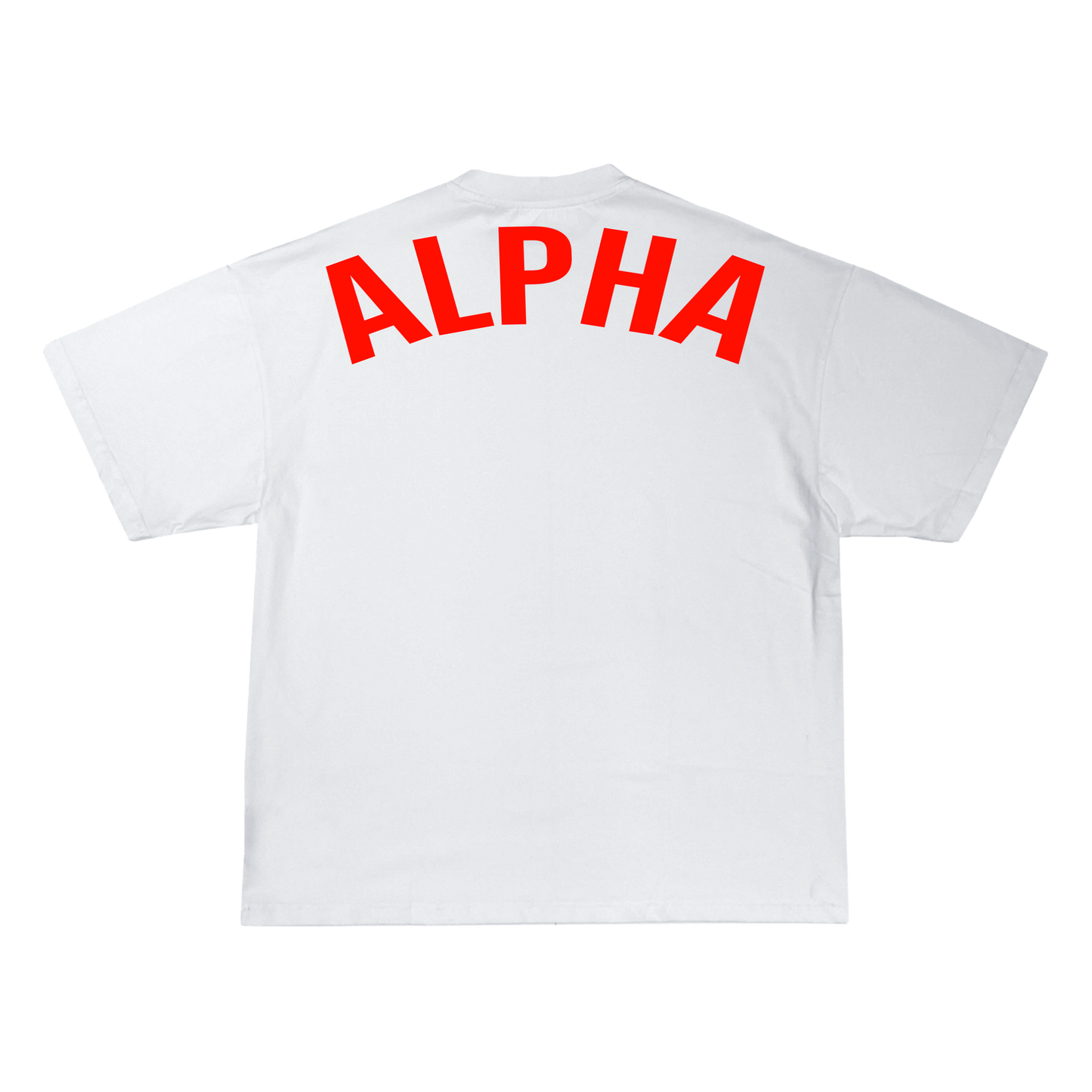 AA Element White T-Shirt